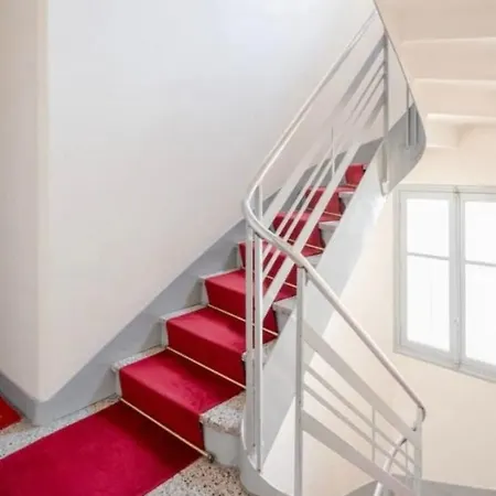 Dominique Elegance